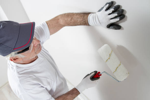 Trusted Walnut Hill, TN Mold Removal Experts