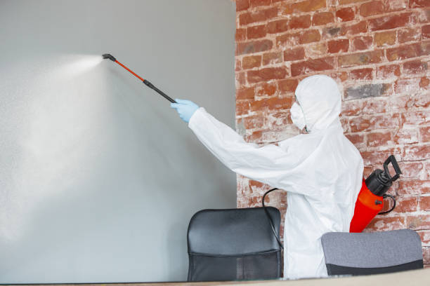 Best Emergency Mold Remediation  in Walnut Hill, TN