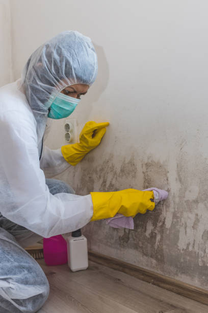Best Indoor Air Quality Assessment  in Walnut Hill, TN