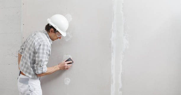 Best HVAC Mold Inspection and Cleaning  in Walnut Hill, TN