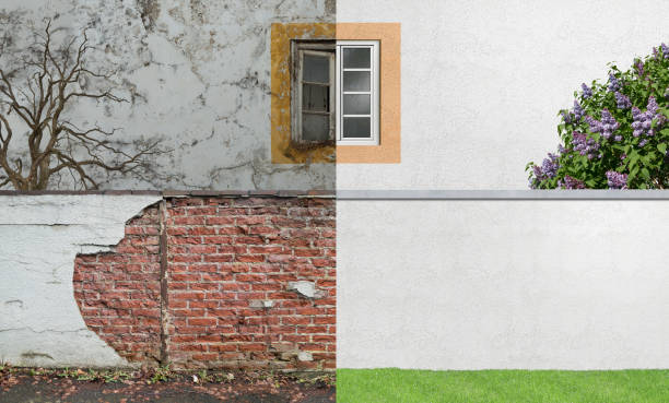 Best Mold Odor Removal Services  in Walnut Hill, TN