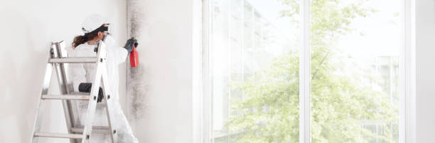 Best Comprehensive Air Testing for Mold Contaminants  in Walnut Hill, TN
