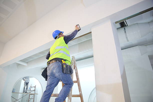 Best Mold Documentation for Insurance Claims  in Walnut Hill, TN