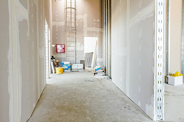Best Airborne Mold Testing  in Walnut Hill, TN