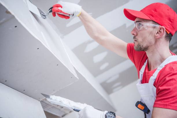 Best Post-Construction Mold Inspection  in Walnut Hill, TN